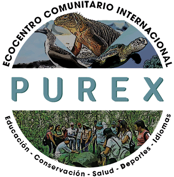 Galapagos Purex Volunteer